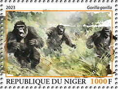 Gorilla gorilla