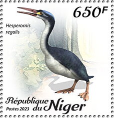 Hesperornis regalis