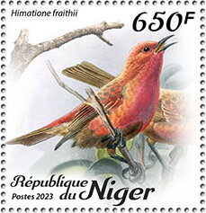 Himatione fraithii
