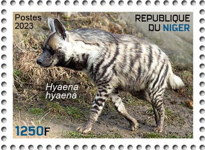 Hyaena hyaena
