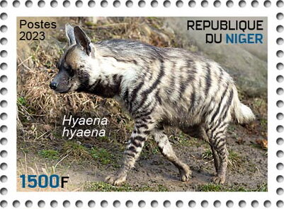 Hyaena hyaena