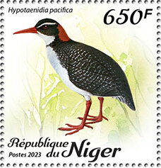 Hypotaenidia pacifica