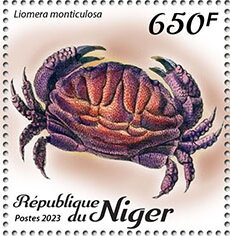 Liomera monticulosa