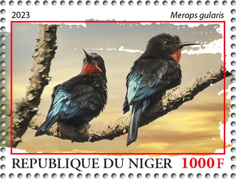 Merops gularis