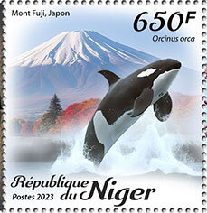 Mount Fuji, Japan - Orcinus orca