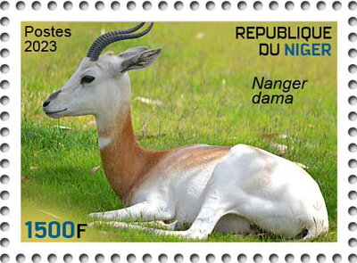 Nanger dama