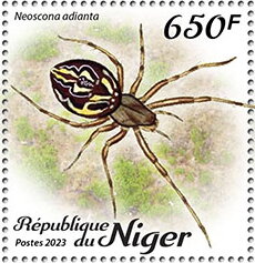 Stamp, Neoscona adianta, Niger,  , Animals (Fauna), Insects, Spiders