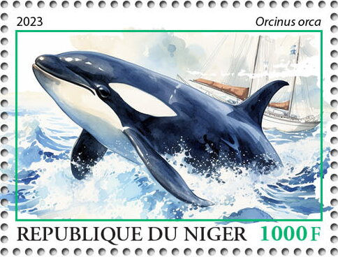 Orcinus orca