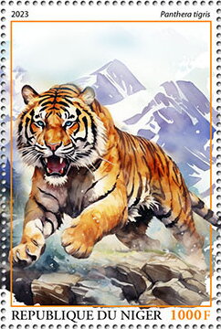 Panthera tigris