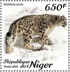 Panthera uncia