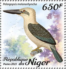 Pelargopsis melanorhyncha