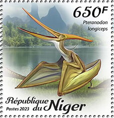 Pteranodon longiceps