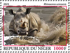 Rhinoceros unicornis