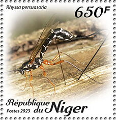 Stamp, Rhyssa persuasoria, Niger,  , Animals (Fauna), Insects