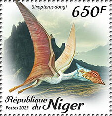 Sinopterus dongi