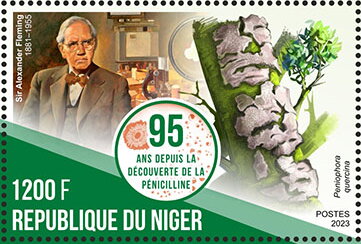 Sir A. Fleming (1881–1955), Peniophora quercina