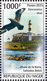 Stercorarius skua, Barra Lighthouse, Salvador, Brazil