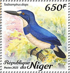 Todiramphus diops