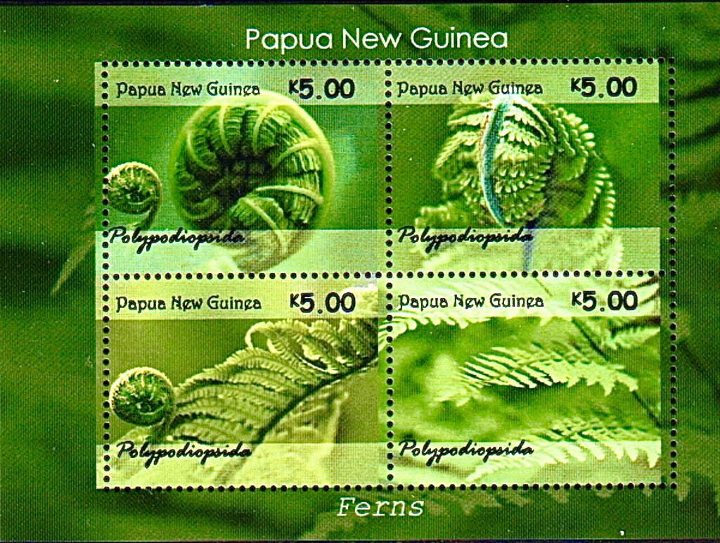Ferns of Papua New Guinea