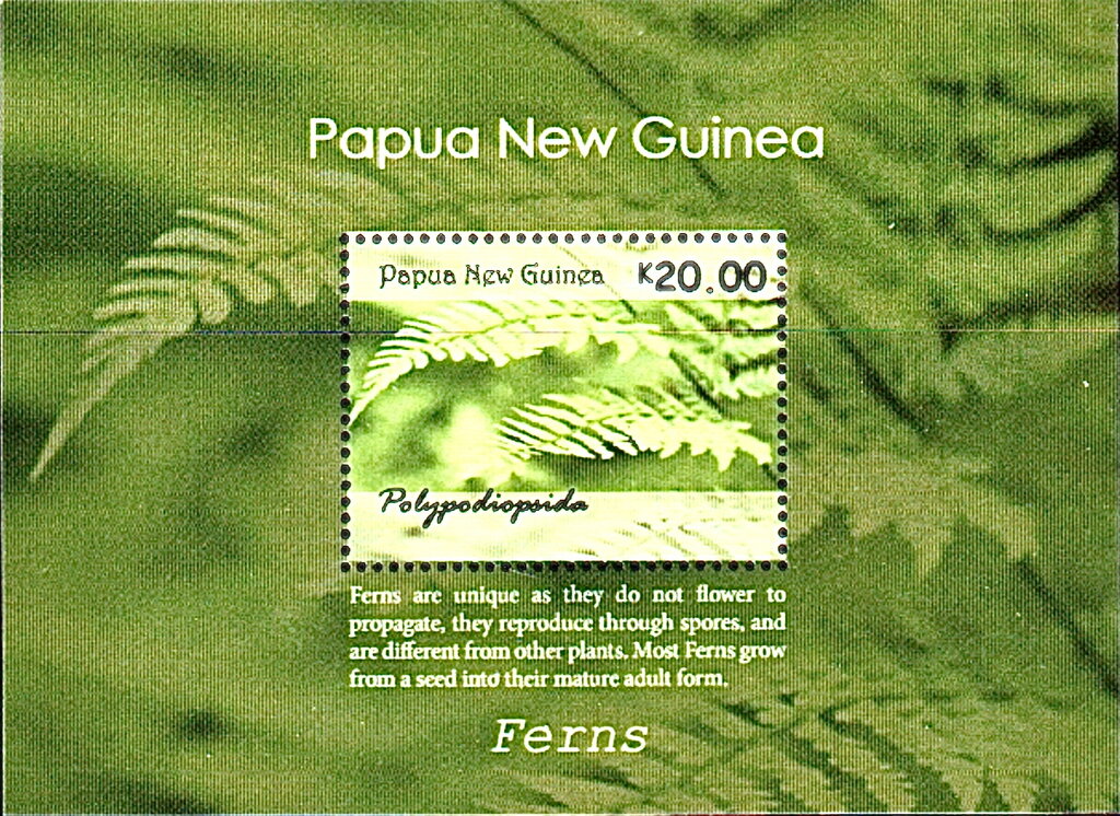 Ferns of Papua New Guinea