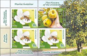 Mini Sheet, Quince (Cydonia oblonga), Romania,  , Bees, Flowers, Plants (Flora)