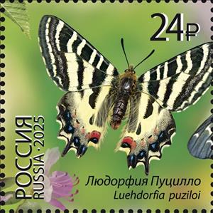 Stamp, Luehdorfia puziloi, Russia,  , Animals (Fauna), Butterflies and Moths, Insects