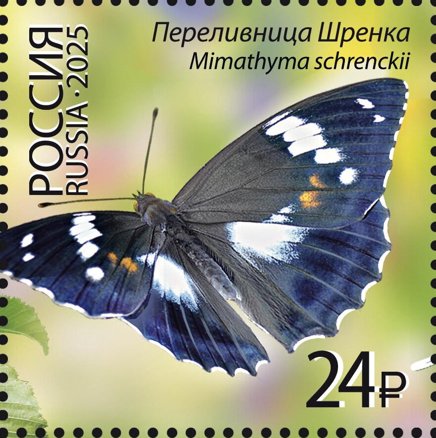 Mimathyma schrenckii