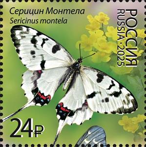 Stamp, Sericinus montela, Russia,  , Animals (Fauna), Butterflies and Moths, Insects