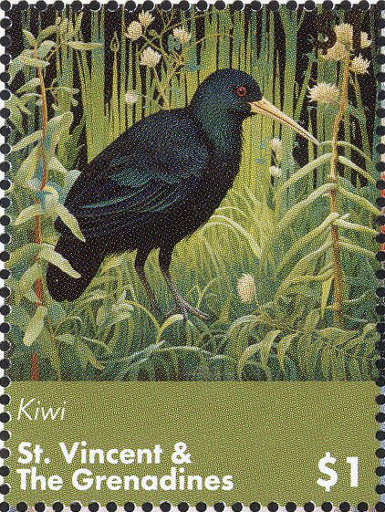 Kiwi