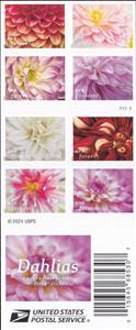 Booklet, Dahlias, United States of America,  , Flowers