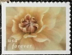 Stamp, Dahlias, United States of America,  , Flowers