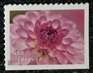 Stamp, Dahlias, United States of America,  , Flowers