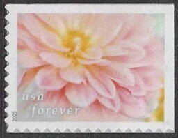 Stamp, Dahlias, United States of America,  , Flowers
