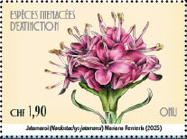 Stamp, Jatamansi (Nardostachys jatamansi), UNO Geneva,  , Plants (Flora)