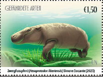 Pygmy Hippopotamus (Hexaprotodon liberiensis)