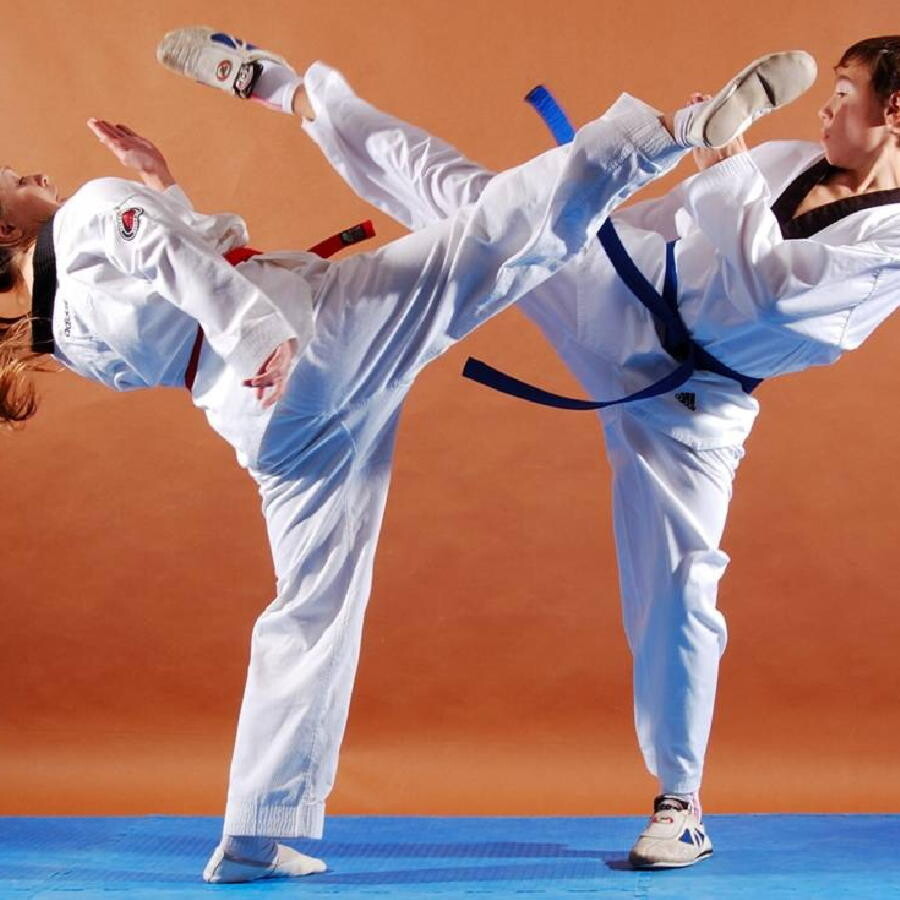 Taekwondo