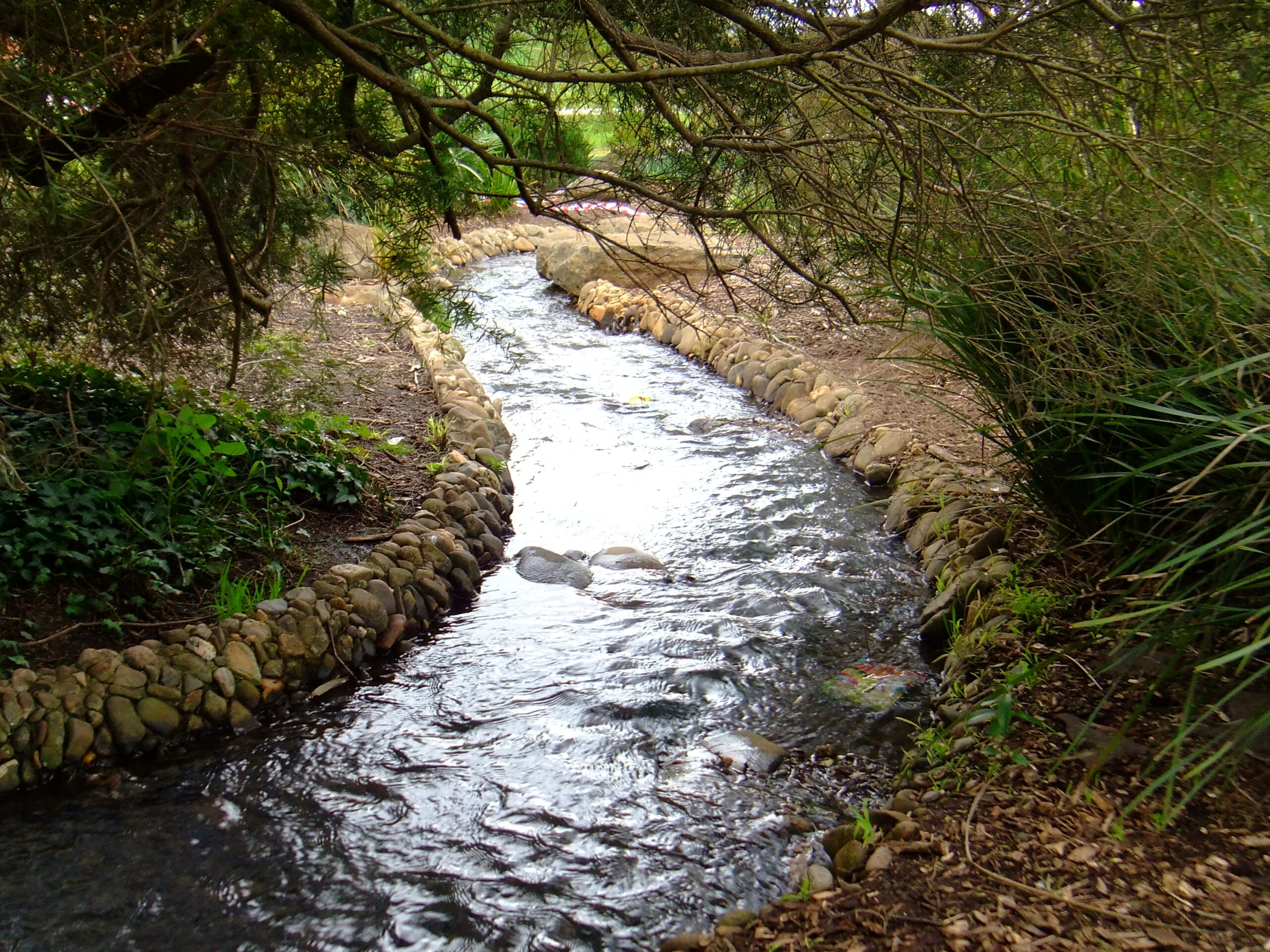 Streams