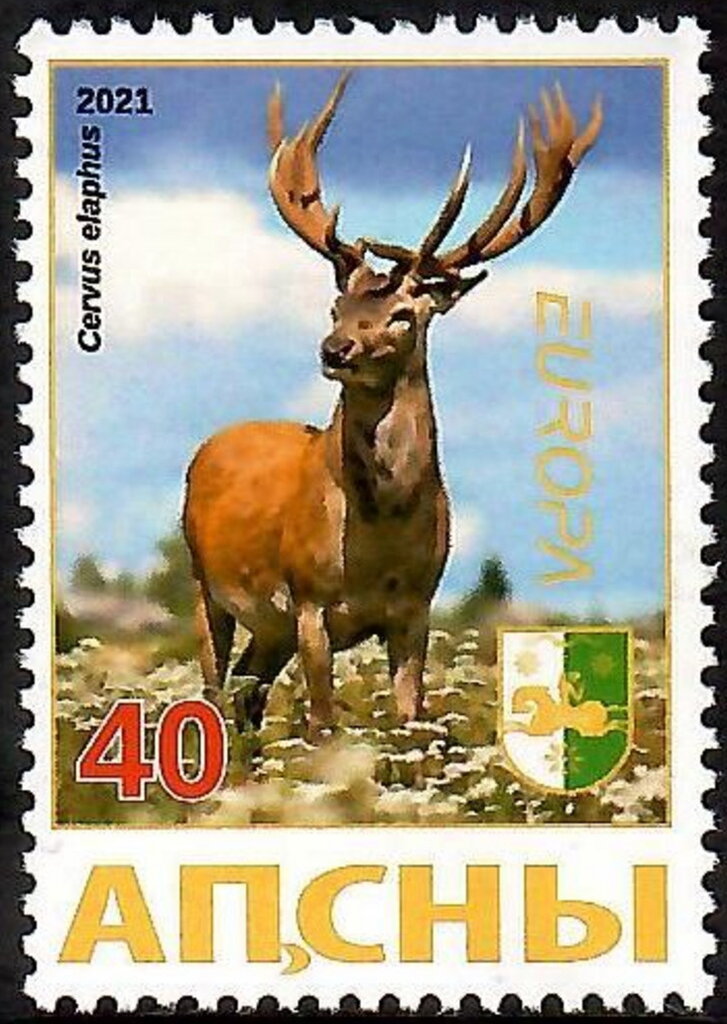 EUROPA 2021 - Deer and Mountain Goat