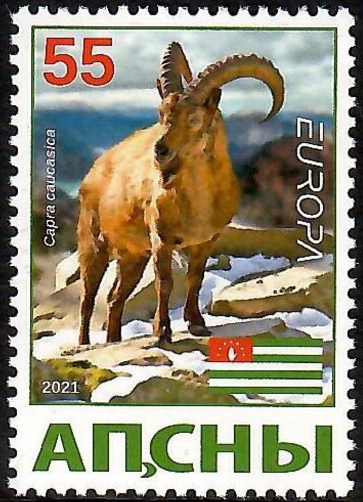 EUROPA 2021 - Deer and Mountain Goat