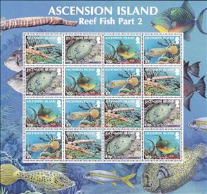 Full Pane, Fish, Ascension Island,  , Animals (Fauna), Fishes, Sea Life