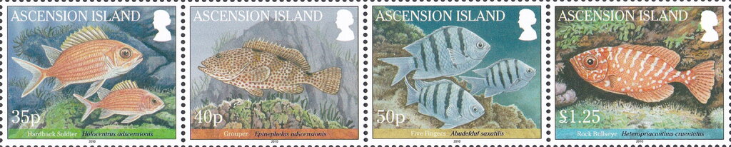 Fish