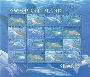 Full Pane, Sharks, Ascension Island,  , Animals (Fauna), Fishes, Sea Life, Sharks