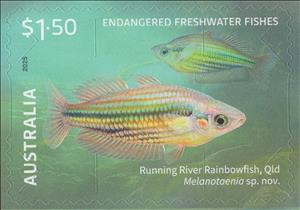 Stamp, Running River Rainbowfish (Melanotaenia sp. nov.), Australia,  , Animals (Fauna), Fishes