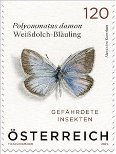 Stamp, Damon Blue Butterfly (Polyommatus damon), Austria,  , Butterflies and Moths