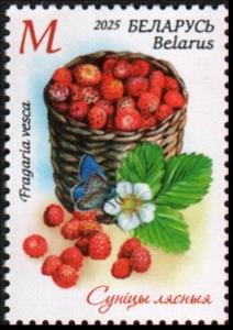Stamp, Woodland Strawberry (Fragaria vesca), Belarus,  , Butterflies and Moths, Flowers, Fruits and Berries, Plants (Flora)