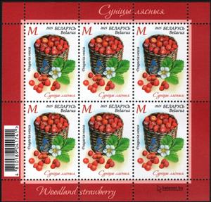 Full Pane, Woodland Strawberry (Fragaria vesca), Belarus,  , Butterflies and Moths, Flowers, Fruits and Berries, Plants (Flora)