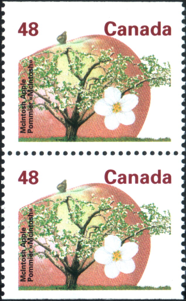 McIntosh Apple