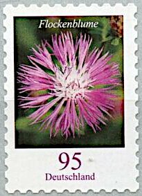 Starthistle (Centaurea sp.)