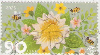 Flowers and bees