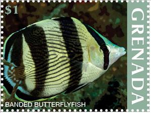 Stamp, Banded Butterflyfish, Grenada,  , Animals (Fauna), Fishes